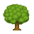 icons8 deciduous tree 48