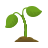 icons8 seedling 48